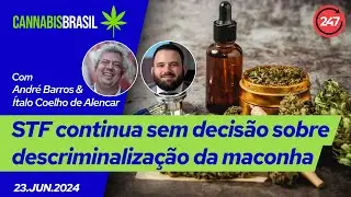 Cannabis Brasil - STF continua sem decisão sobre descriminalização da maconha