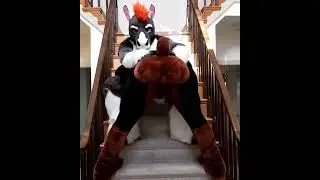 Duke Doberman Presents His Ass With Some Assistance (Fursuit Butts) 