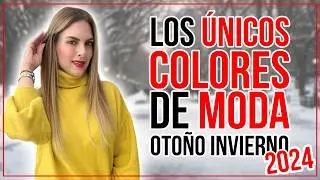 Los 7 COLORES DE MODA más USADOS de este Otoño Invierno 2024-2025 / Daniela Liepert