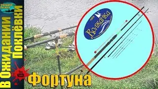 Первый обзор бюджетного фидера Волжанка Фортуна .