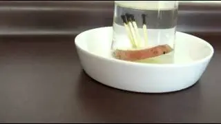 VENTOSAS, LA VENTOPAPA, cupping with potatoes