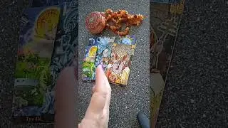 для🤴 Что Вам нужно знать прямо сейчас 🤴🗝👸🌤⏳⚖️👍🌈🏡💐запись на консультацию +79084810007  WhatsApp
