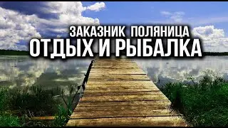 Места для отдыха и рыбалки в Подмосковье. Заказник Поляницы.