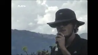 Oso Pardo & El último del tren (LIVE)