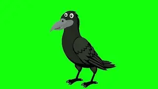 flying crow green screen। crow green screen no copyright। crow flying green screen।