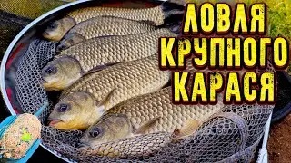 Вечерняя рыбалка на крупного карася Красивая природа