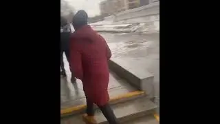 ШАМИЛЬ АЛЕРОЕВ И НЕГРЫ! 🤣