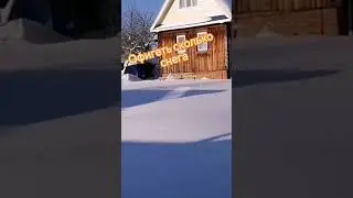 Такого я ещё не видел 
