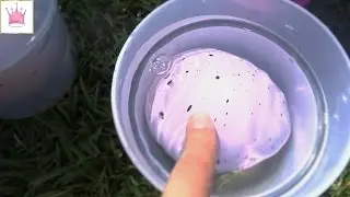 Ищем яйца и выращиваем животных в воде.