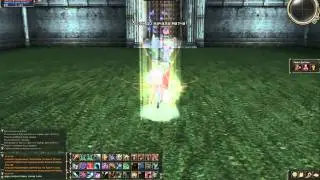 Lineage 2 Cadmus WildCat  SoulBreaker 85 [ olymp ]