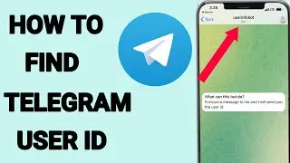 How To Find Telegram user id and username