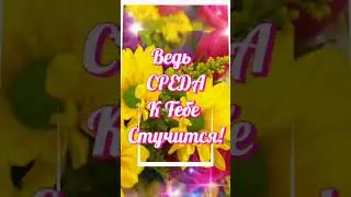 С Добрым утром! Среда!