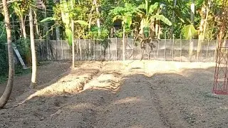 Vlog Persiapan Tanam Cabe di kebun belakang rumah