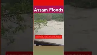 Assam Floods - Dima Hasao District 