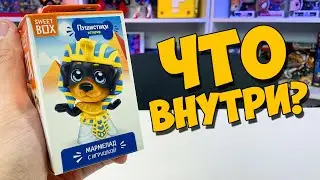 ПУШИСТИКИ: Распаковка [ЧЁ ВНУТРИ?]