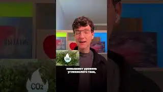 🌱 Антистрессовый эффект дыхания