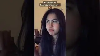Stages of internationalstudents 