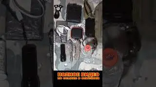 EDC CITY | ГОРОДСКОЙ НАЗ 