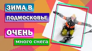 Много снега. Замело весь участок. Роем ходы!