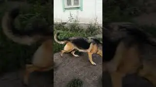 Знакомтесь, злая девочка!