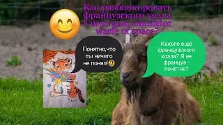 Как разблокировать французского козла в goat simulator waste of space?