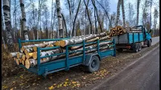 Автопоезд снова в работе! Заготовка дров тихой пилой и самодельным грузовиком!