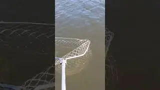 весенняя рыбалка 2023