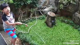 Membantu mami menyiram tanaman