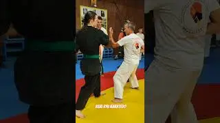Техника Asai Ryu karatedo. #asairyu #karate #каратэ