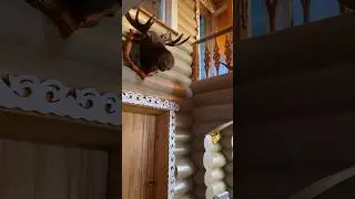 Это я так парням с нашей команды «Небздящие» видео записываю с рыбалки😎 #таежныеприключения