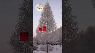 Леса начали расти в середине 19 века.