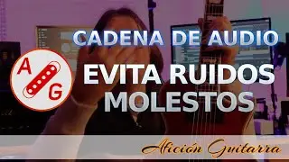 Los elementos de la cadena de audio