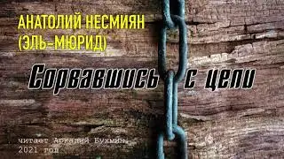 Анатолий Несмиян (Эль Мюрид). Сорвавшись с цепи