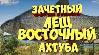 Лещ Восточный Русская рыбалка 4 ахтуба рр4 Алексей Майоров