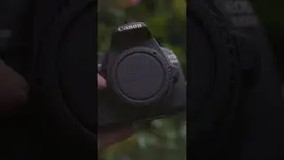 Is the Canon Rebel T5 Weather Sealed?