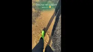 Весна не щадит никого!