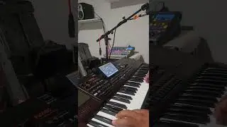CHILENA MAZAHUA"