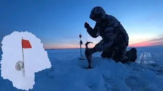 Самодельные жерлицы для зимней рыбалки. Опыт использования.
