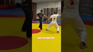 Bunkai. Heian Godan. Asai Ryu karatedo. #asairyu #каратэ #karate
