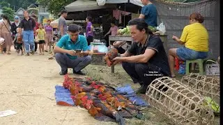 A Joyous Harvest, Bringing Mountain and Forest Products to the Market for Sale