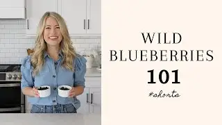 Wild Blueberries 101 | HGG 