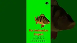 Colourfull fish 🐟 #green #chromakey #animation