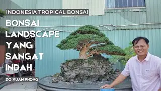 Baru pertama kali liat bonsai landscape dalam pot seindah ini..