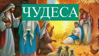 Чудеса / Пророк Иса (Иисус) / Плейлист "Исламские истории"