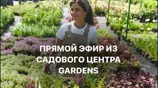 КАК ВЫБРАТЬ ТУЮ? 5 ПРИЗНАКОВ ХОРОШЕЙ ТУИ.