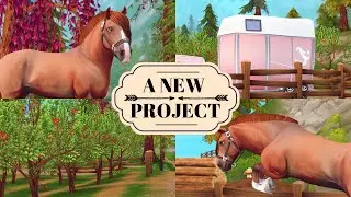 A New Project ❤︎ II Star Stable Online RRP