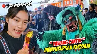 PAWANG CANTIK MENYURUPKAN KHODAM GERANDONG ❗❗ KUDA LUMPING PGP (PUTRA GALUH PAKUAN) 💥 KALAM OFFICIAL