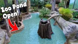 @BrookfieldZooChicago Flamingo Pond Complete