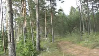 Поездка в Усть-Лугу на разведку, 12.06.13