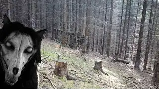SCP-023 Stalking in woods